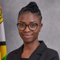 Lisa Nyamhamba - Risk Manager (1)