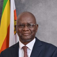 Patience Matshe - Non Executive Director (1)